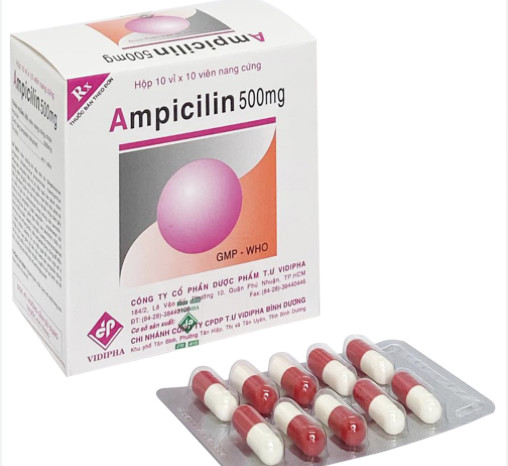 Ampicilin 500mg